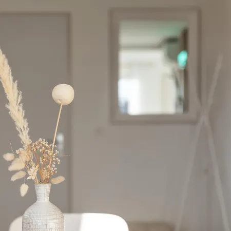 Apartamento Le Nordique Ii - Jolie Vue - Clim - Netflix Aix-les-Bains